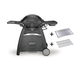 Weber Q 3200 Station